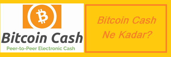 bitcoin cash ne kadar
