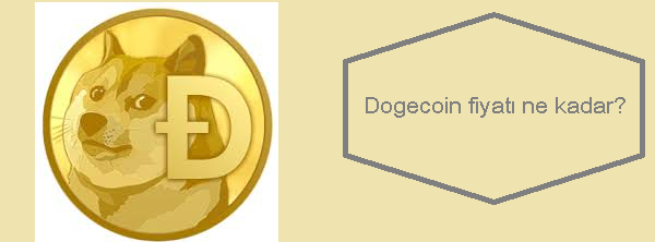 dogecoin fiyatı