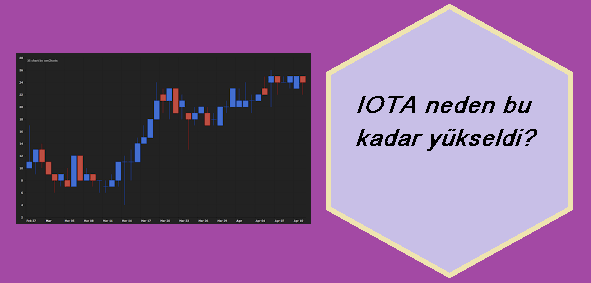 iota neden yükseliyor