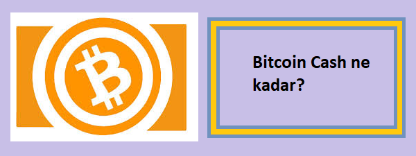 bitcoin cash ne kadar