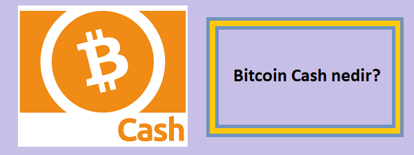 bitcoin cash nedir