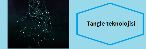 iota tangle teknolojisi